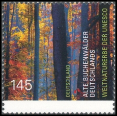 BRD MiNr. 3052 ** UNESCO-Welterbe: Alte Buchenwälder Deutschlands, postfrisch