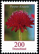 FRG MiNo. 3556 ** Permanent series flowers: purple cautia, MNH