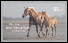 FRG MiNo. 2635 ** Welfare 2007: Horses, MNH, self-adhesive