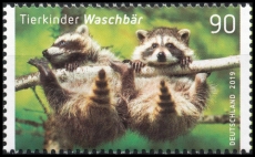 BRD MiNr. 3434 ** Serie Tierkinder: Waschbär, postfrisch