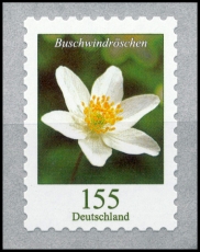 FRG MiNo. 3484 ** Permanent series Flowers: Wood anemone, self-adhesive, MNH