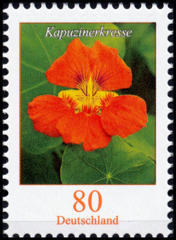 12 Briefmarken Blumenstrauß 2005 2006 2008 Postfrisch 