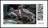 FRG MiNo. 3629 ** Series Young Wild Animals: Ibex, self-adhesive, MNH