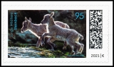 BRD MiNr. 3629 ** Serie Junge Wildtiere: Steinbock, selbstkl., postfr.