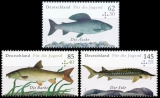 FRG MiNo. 3169-3171 ** Youth 2015: Freshwater fishes, MNH