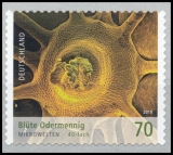 BRD MiNr. 3205-3206 ** Selbstklebende Bund Januar 2016, postfr., unbedr. Rücks.