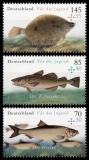 FRG MiNo. 3255-3257 set ** Series Youth 2016: saltwater fish, MNH