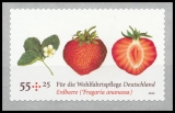BRD MiNr. 2777 ** Wohlfahrt: Obst - Erdbeere, postfrisch, selbstklebend