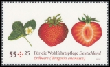 FRG MiNo. 2769-2772 ** Welfare 2010: Fruit, MNH