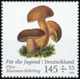 BRD MiNr. 3407-3409 Satz ** Serie Jugend 2018: Pilze, postfrisch