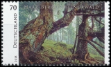 BRD MiNr. 3410 ** Serie Wildes Deutschland: Harz Bergfichtenurwald, postfrisch