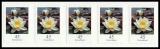 FRG MiNo. 3376 ** Permanent series Flowers: Water Lily, self-adh., stripe, MNH