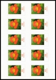 FRG MiNo. FB 89 (3482) ** Series Flowers: Nasturtium, foil sheet, self-adh., MNH