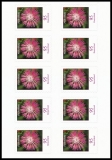 FRG MiNo. FB 90 (3483) ** Series Flowers: Knapweed, foil sheet, self-adh., MNH