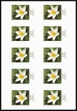 FRG MiNo. FB 91 (3484) ** Flowers: Wood anemone, foil sheet, self-adh., MNH