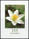 FRG MiNo. 3484 ** Permanent series Flowers: Wood anemone, self-adhesive, MNH